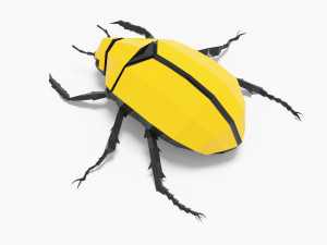 Bug low poly 3D 模型