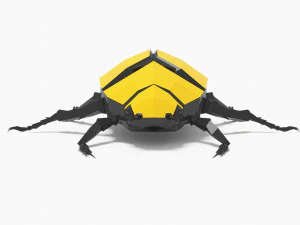 Bug low poly 3D Model