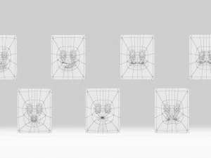 Cartoon facial 3D Model