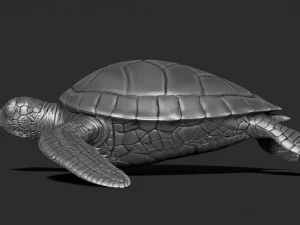 Impress&atilde;o de tartaruga 3d Modelo de Impressão 3D