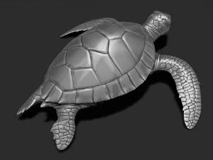 Impress&atilde;o de tartaruga 3d Modelo de Impressão 3D