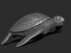 Impress&atilde;o de tartaruga 3d Modelo de Impressão 3D