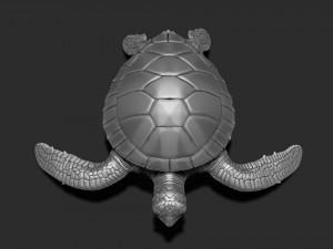 Turtle print 3d Modelo de impresión 3D