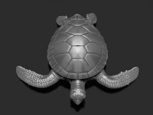 Impress&atilde;o de tartaruga 3d Modelo de Impressão 3D