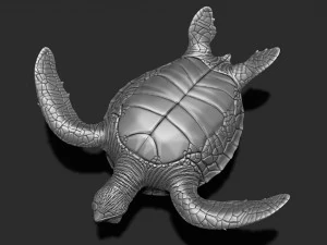 Impress&atilde;o de tartaruga 3d Modelo de Impressão 3D