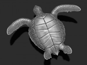 Turtle print 3d Modelo de impresión 3D