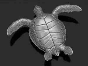 Impress&atilde;o de tartaruga 3d Modelo de Impressão 3D