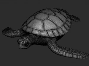 Impress&atilde;o de tartaruga 3d Modelo de Impressão 3D