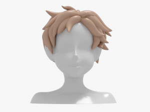 Hairstyles boy 3D Модель