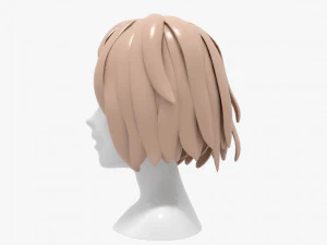 Hairstyles girl 3D Model