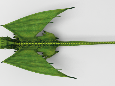 Dragon 02 3D 模型