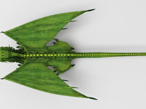 Dragon 02 3D Model