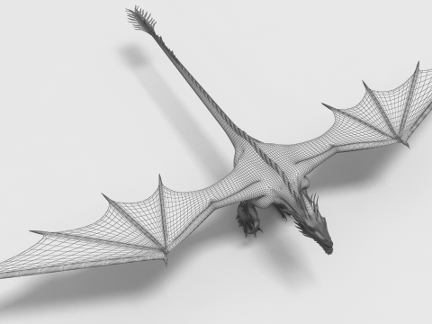 Dragon 04 3D Модель