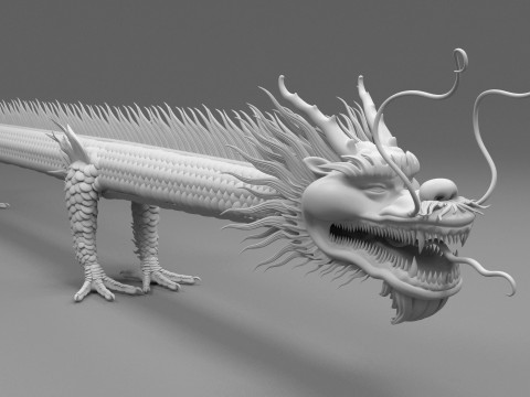 Asia Dragon 3D मॉडल