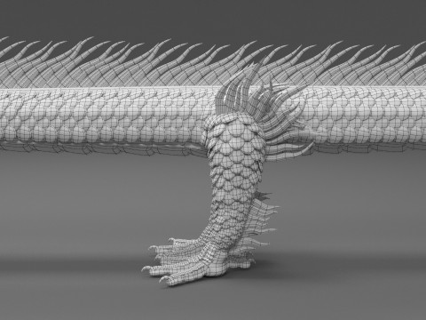 Asia Dragon 3D मॉडल