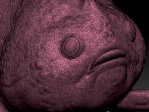 Риба-клоун 3D Модель