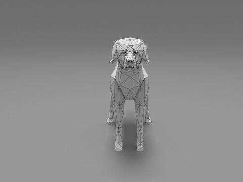 Dog Low Poly 03 Modèle 3D