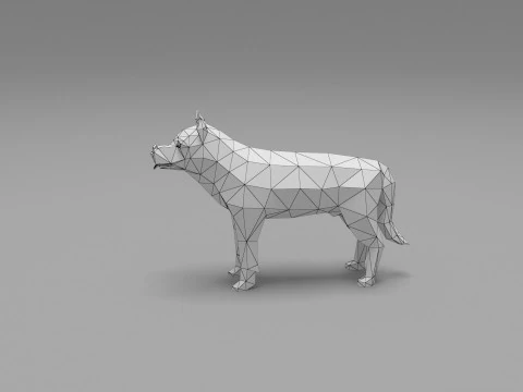 Dog low Poly 06 3D Model