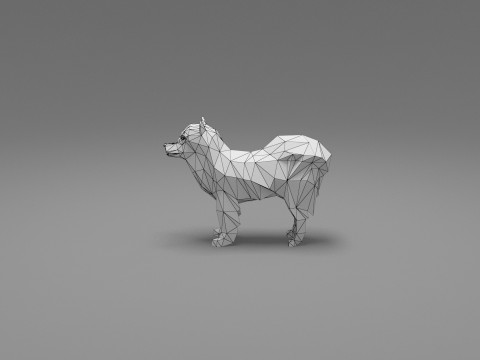 Dog Low Poly 11 3Dモデル