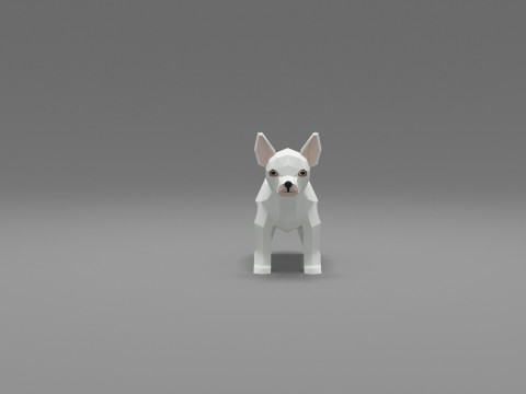 Dog Low Poly 12 Modello 3D