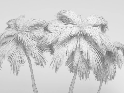 Coconut tree 3D Model