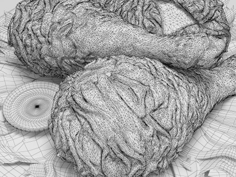 Kızarmış tavuk 3D Model