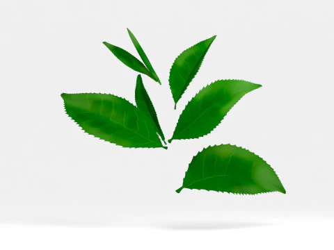 Tea leaves 3D Model