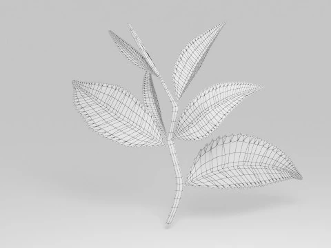 Tea leaves 3D Model