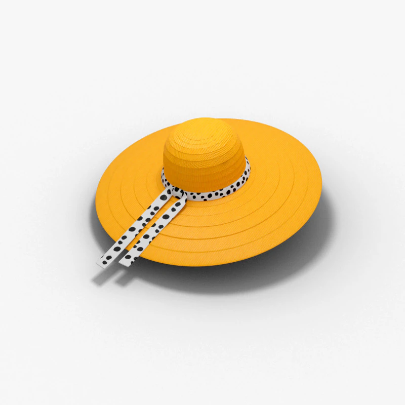 Hat fashion 3D Model .c4d .max .obj .3ds .fbx .stl .blend 
