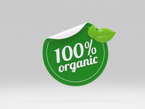 &Iacute;cone org&acirc;nico Modelo 3D