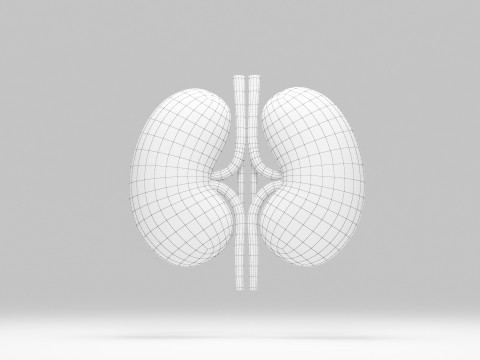 Kidney cartoon 3D Model