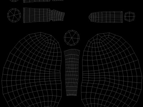 Kidney cartoon 3D Model