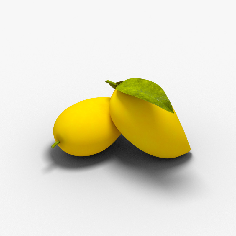 Mangue Modèle 3D .c4d .max .obj .3ds .fbx .stl .blend 