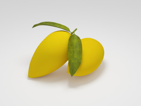 Mangue Modèle 3D