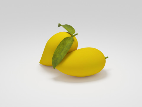 Mangue Modèle 3D