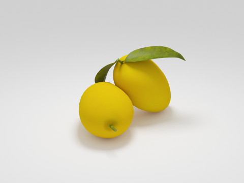 Mangue Modèle 3D