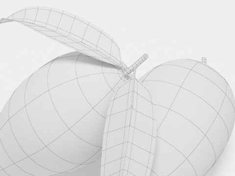 Mangue Modèle 3D