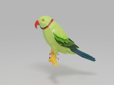 Parrot Lowpoly 3D Model
