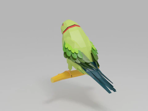 Parrot Lowpoly 3D Model