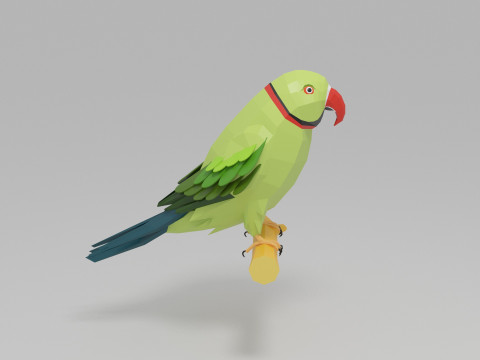Papağan D&uuml;ş&uuml;k Poli 3D Model