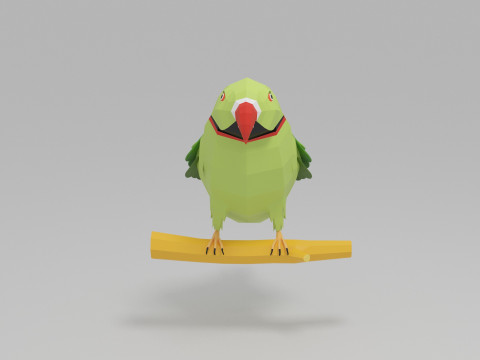 Papağan D&uuml;ş&uuml;k Poli 3D Model