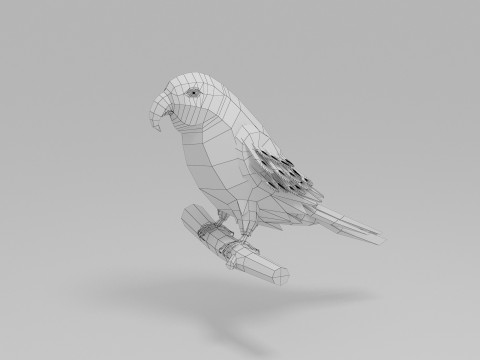 Papağan D&uuml;ş&uuml;k Poli 3D Model
