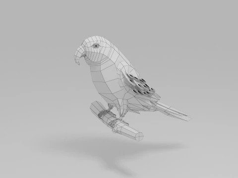 Parrot Lowpoly 3D Model