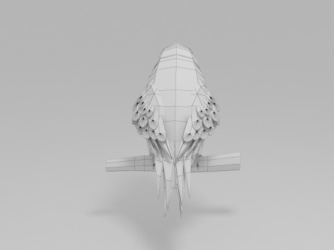 Papağan D&uuml;ş&uuml;k Poli 3D Model