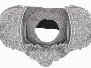 medieval boby armor Modelo 3D