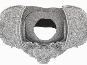 medieval boby armor 3D Model