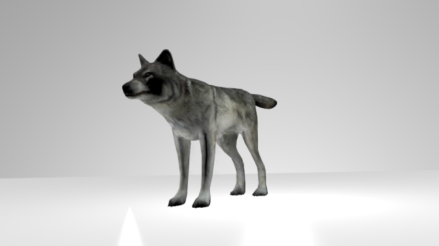 wolf model 3d 3D Model .c4d .max .obj .3ds .fbx .stl .blend 