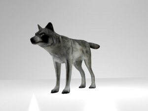 wolf model 3d 3D Model