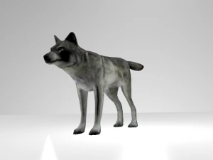 mod&egrave;le de loup 3D Modèle 3D