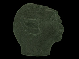 yoda head mask 3D Print Model